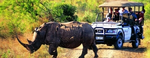 Kaziranga Safari Booking